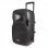 Fonestar MALIBU-215P Amplificador Portátil con Micrófono Inalámbrico