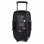 Fonestar MALIBU-215P Amplificador Portátil con Micrófono Inalámbrico
