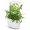 Tregren T3 Huerto de Cocina Inteligente Blanco