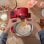 Bosch MUM Serie 2 Robot de Cocina 700W Rojo