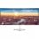 Samsung LC34J791WTRXEN 34" QLED WQHD 100Hz FreeSync Curva