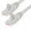 Cavo di rete StarTech RJ45 Cat 6 UTP 2 m Grigio