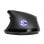 Souris de jeu EVGA X17 16 000 DPI noire