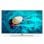 Philips 50HFL6014U/12 50" LED UltraHD 4K Hotel