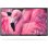 Philips 32HFL4014/12 32" LED HD Signage Display