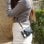 Cool Funda Colgante Wallet Negra para iPhone 7/8/SE 2020