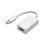 USB-C Adapter Belkin AVC006btSGY 4-in-1 100 W 4K Ultra HD Aluminium Silber