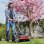Einhell GE-HM 18/38 Li-Solo Cortacésped a Batería 18V 45L