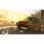 Dirt 5 PC Descarga Digital