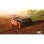Dirt 5 PC Descarga Digital