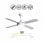 Ventilateur de plafond Fabrilamp Nevery avec éclairage LED et télécommande, pales réversibles, 65 W, blanc/hêtre