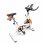 Astan Hogar Ciccly AH-FT2070 Bicicleta de Spinning