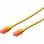 Ewent Cable de Red RJ45 Cat 6 U/UTP 50cm Amarillo