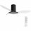 Universal Blue Pruga Ventilador de Techo con Luz LED y Mando 60W Negro/Transparente