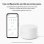Google Wifi Snow