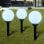 VidaXL Pack de 6 Lampes Solaires de Jardin LED 20cm