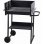 ProGarden Barbacoa de Carbón Rectangular Negra