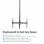StarTech FPCEILPTBLP Suporte de Teto para TV 32"/75" VESA 600x400 Máx 50Kg