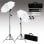 vidaXL Kit de Estudio Fotográfico con Telón de Fondo Verde + Lámparas + Paraguas