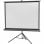 Celexon Economy Pantalla de Proyección con Trípode 176x132cm
