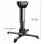 Celexon MultiCel 4060 Pro Soporte de Techo 60cm Negro