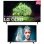 LG Pack OLED55A16LA 55" OLED UltraHD 4K + 32LM550BPLB 32" LED HD