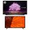 LG Pack 55C14LB 55" OLED UltraHD 4K HDR10 Pro + 32LM637BPLA 32" LED HD HDR10