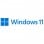 Microsoft Windows 11 Pro High-End