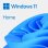 Microsoft Windows 11 Home Standard