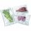 Laica VT3504 Gofrado Pack 50 Bolsas Envasado al Vacío 20x28cm