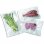Laica VT3509 Pack 2 Rollos Envasado al Vacío 28x600cm