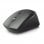 Ewent EW3245 mouse Mano destra RF Wireless Ottico 2400 DPI