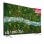 LG 75UP76706LB 75" LED UltraHD 4K HDR10