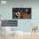 TD Systems K43DLG12US 43" LED UltraHD 4K HDR10