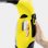 Karcher WV 5 Plus Limpiador de Cristales