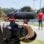 Microfone de câmera condensador Rode Videomic Rycote