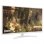LG 24MP58VQ-W 24" LED