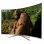 Samsung 65KU6500 65" LED 4K UltraHD