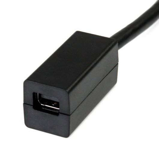 Startech Cable DisplayPort Macho a Mini DisplayPort Hembra 15cm