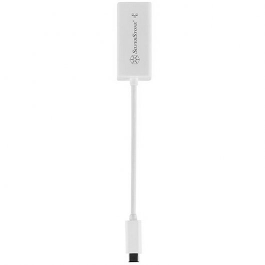 Silverstone EP05W Cable USB 3.1 Tipo-C a RJ45 1m