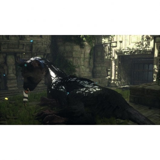 The Last Guardian Edición Coleccionista PS4