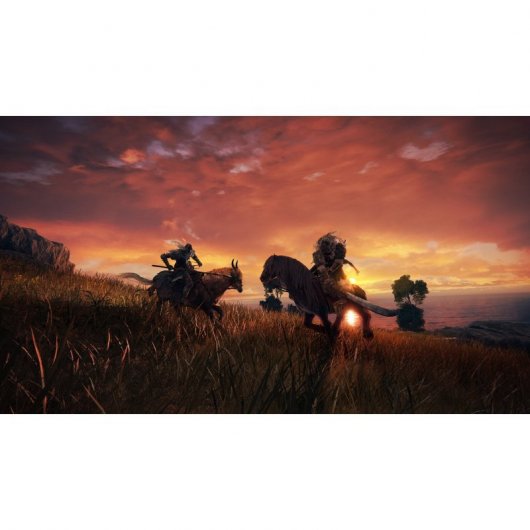 Elden Ring Collector's Edition PS5