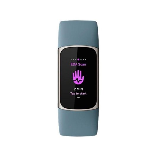 Pulsera de actividad Fitbit Charge 5 Bluetooth GPS AMOLED Azul Acero 7 días ECG EDA SpO2