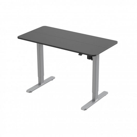 Equip Mesa Eléctrica Ergonómica Elevable con Altura Regulable 120x60 Gris
