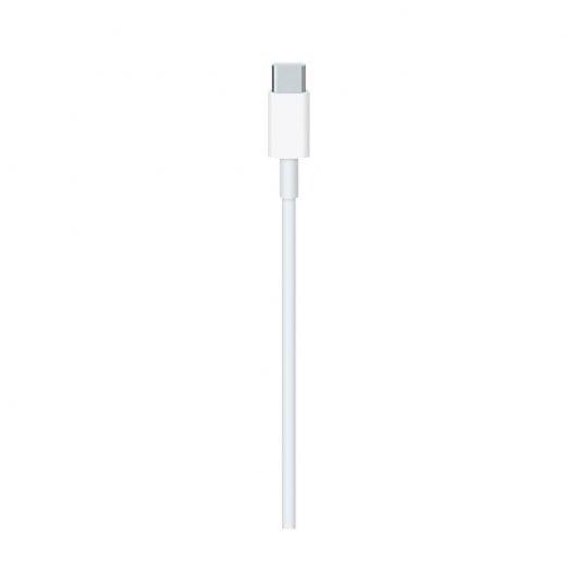 Apple Cavo di ricarica USB-C (2 m)