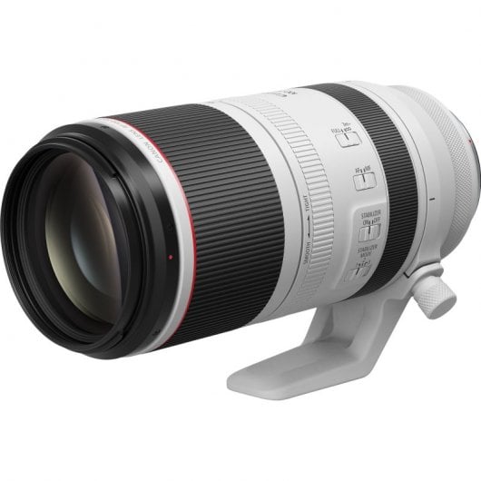 Canon RF 100-500mm F4.5-7.1L IS USM SLR Telezoom-Objektiv Schwarz, Weiß