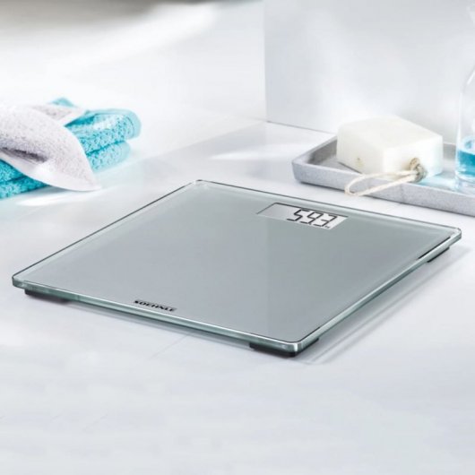Soehnle Style Sense Compact 300 Báscula de Baño Plata hasta 180Kg
