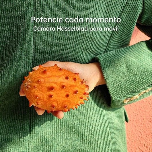 OPPO Find X5 5G 8GB 256GB 6.5" Blanc