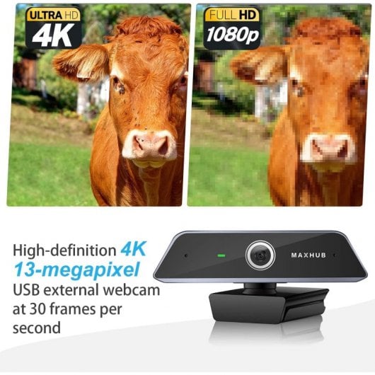 Webcam professionale Maxhub UC W20 4K