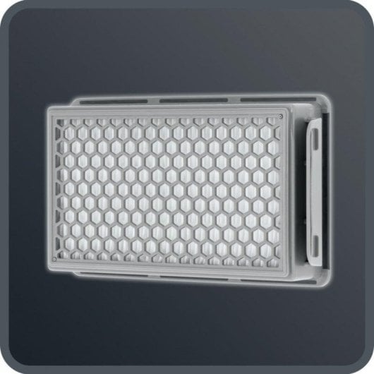 Staubsauger mit Beutel Rowenta Compact Power RO3953 900W 3L Hygiene Filter